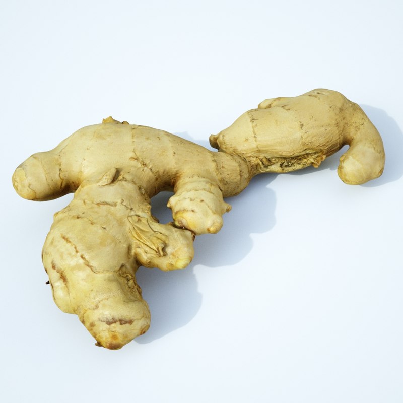 Ginger root plug Ginger root plug