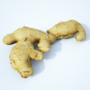 ginger root spice 3D model