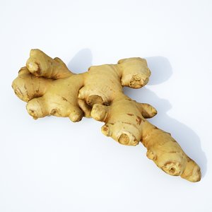 3D ginger root