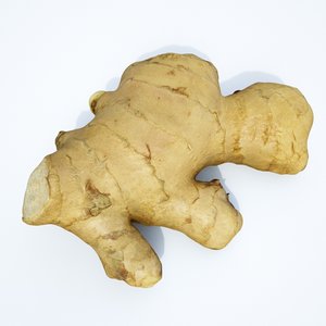 ginger root 3D model
