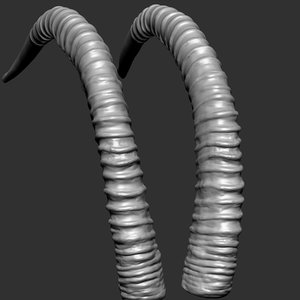 sable antelope horns 3D model