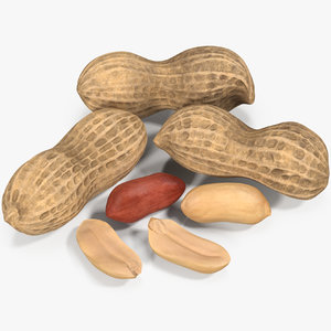 3D peanut seeds model