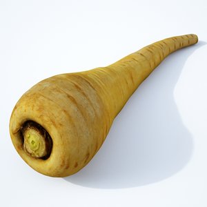 parsnip root vegetable 3D model