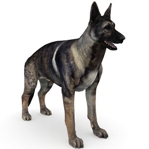 3D model german shepherd dog