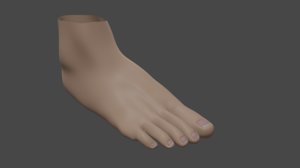 base female feet 3D