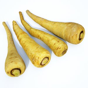3D set parsnip roots
