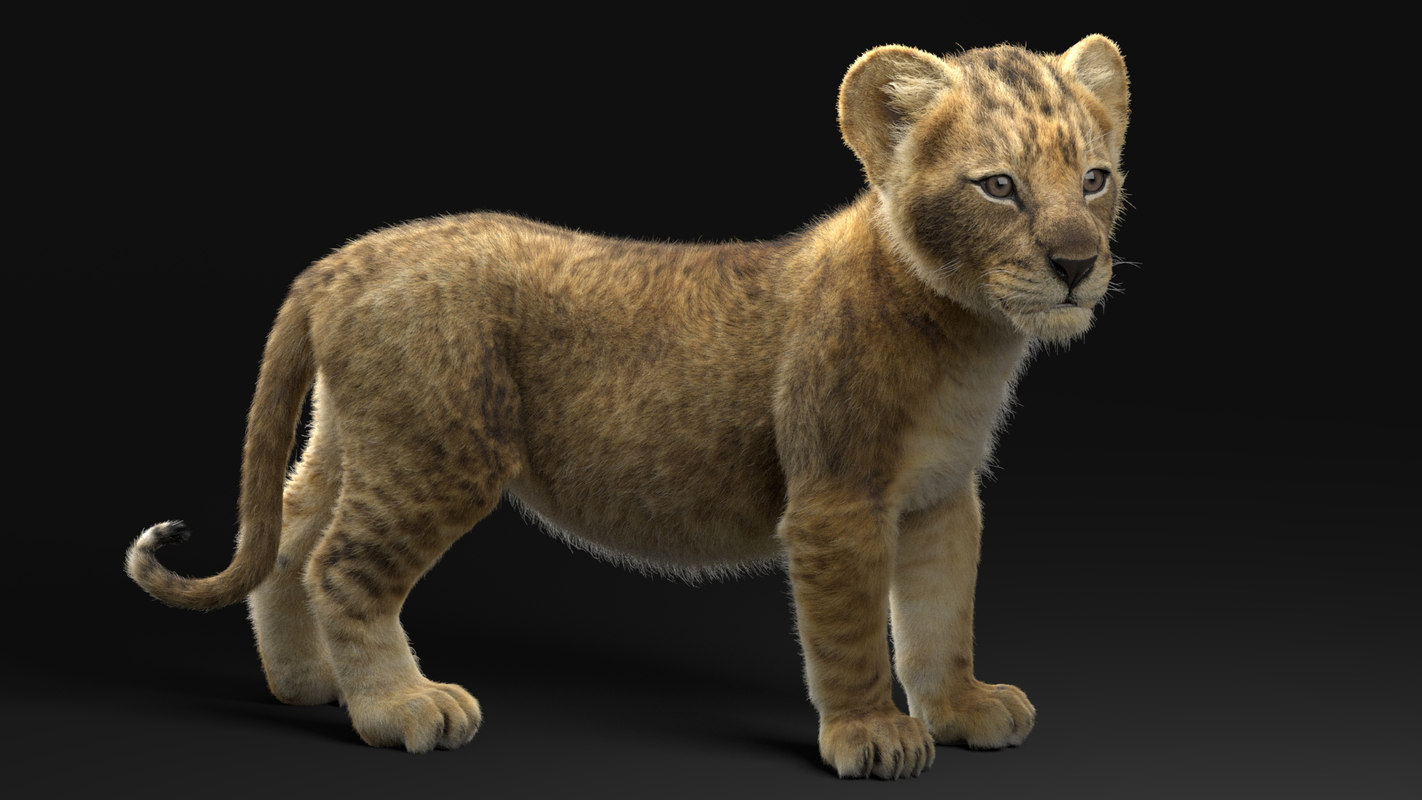 3D realistic rigged lion cub TurboSquid 1445552