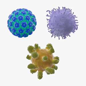 human viruses virus 3D model