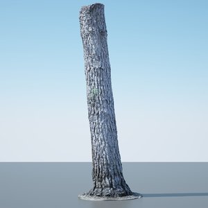 tree trunk - 3D model
