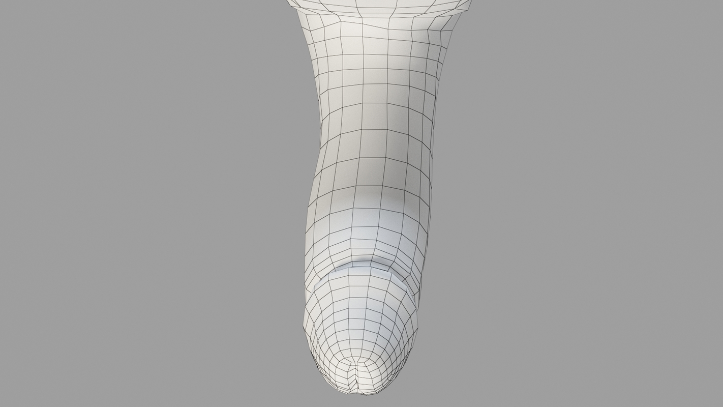 男性性器ペニス3Dモデル - TurboSquid 1446665