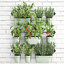 3D model garden decorative plants kitchen