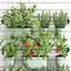 3D model garden decorative plants kitchen