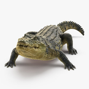 crocodile eating animal rigged model