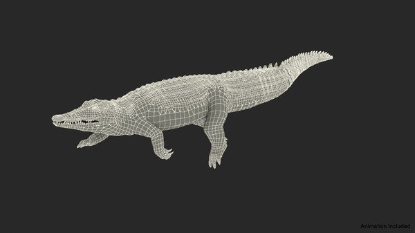 3D crocodile swiming animal rigged - TurboSquid 1564392