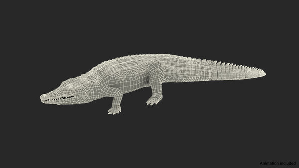 modelo 3d Animated Crocodile Walking Rigged for Cinema 4D - TurboSquid ...