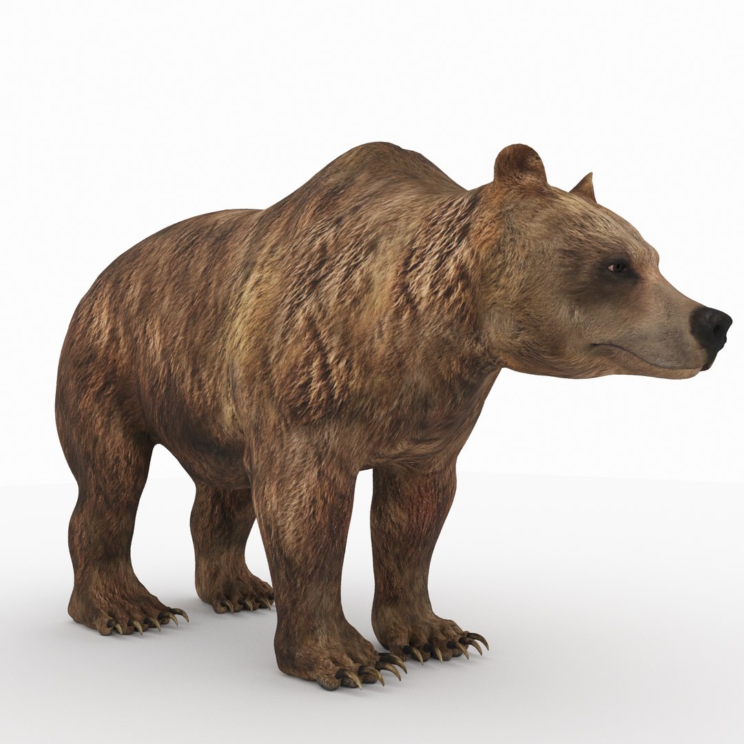 Animal beast mammal 3D model - TurboSquid 1447200