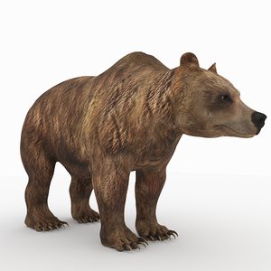 animal beast mammal 3D model