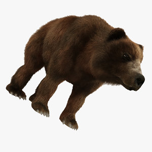 3D grizzly bear fur model