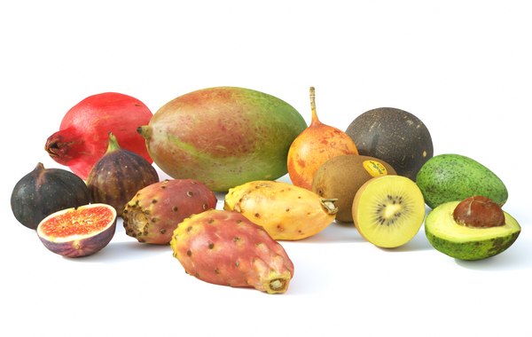 3d set exotic fruit model