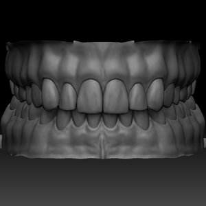 3D realistic human mouth zbrush model
