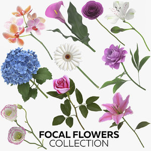 focal flowers - 73 model