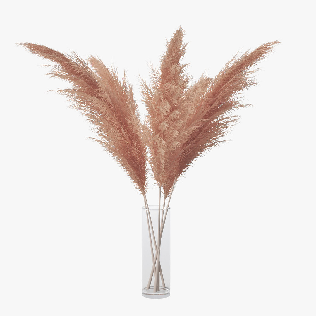 3D pampas grass TurboSquid 1447536