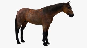 3D model horse modeled