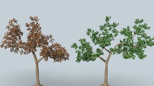 tree tow set 3D model