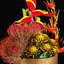 3D plant 2 flowers