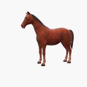 horse rig animations model