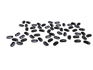 black bean 3D model