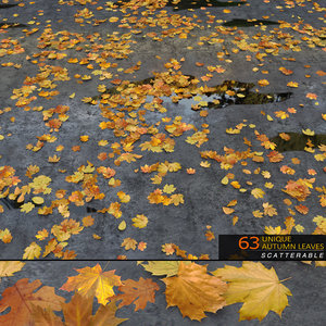 3d realistic fall leaves scattered model
