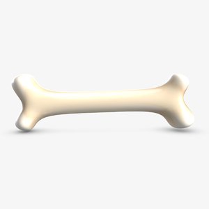 3D model cartoon bone