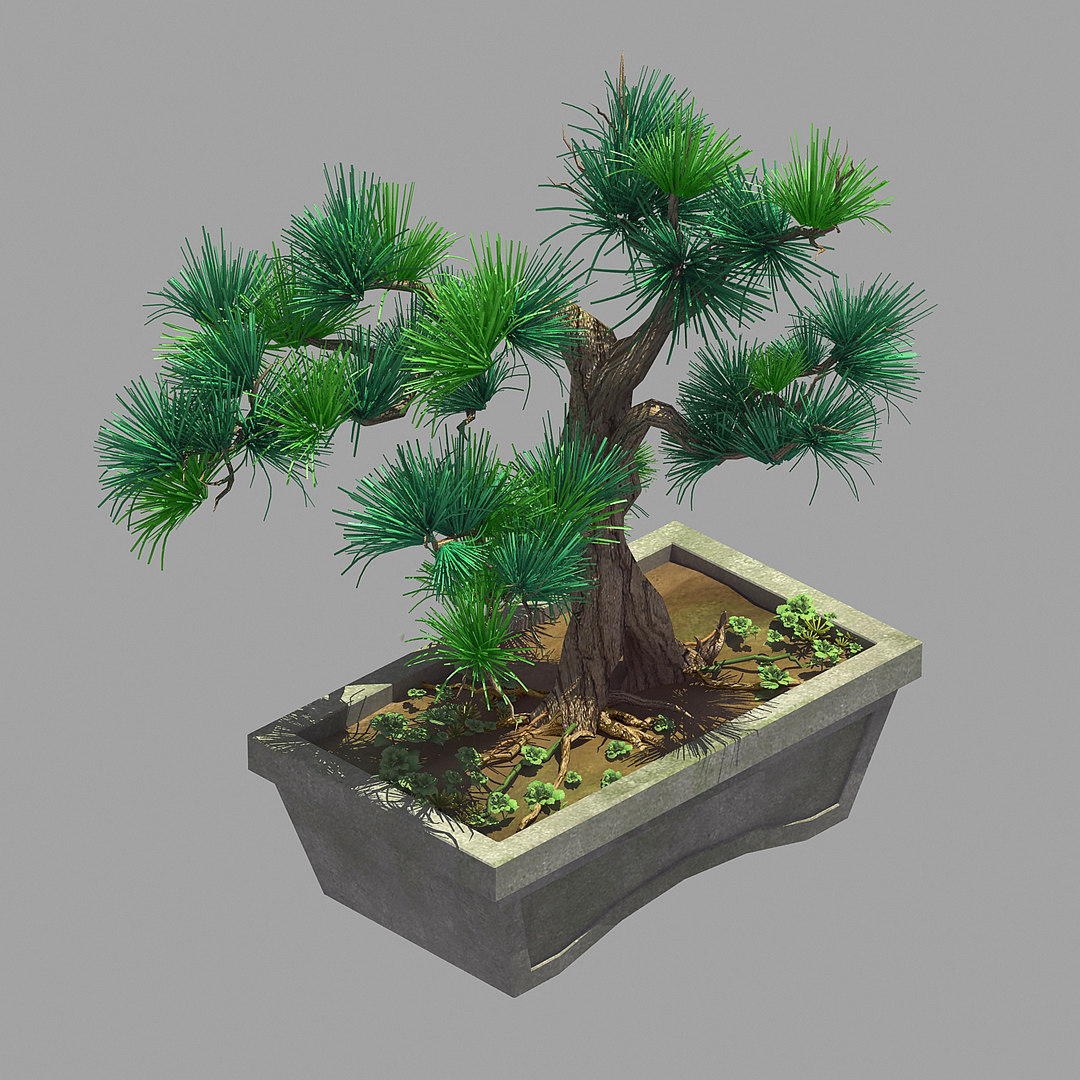 3D bonsai flowerpot  36 TurboSquid 1448906