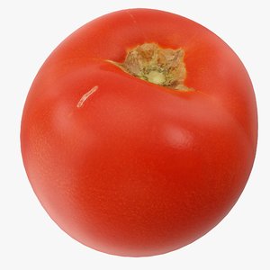 3D tomato 04 model