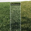 lawn grass 2 3d model
