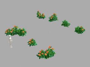 miscellaneous flowers - small model