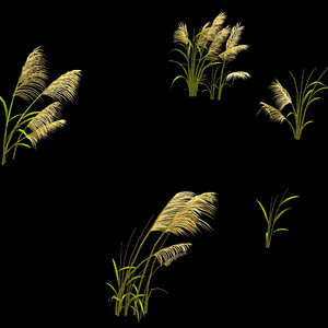 3D plant - reed 669