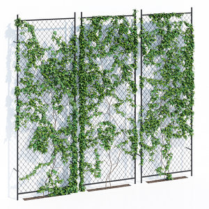 3D ivy wall