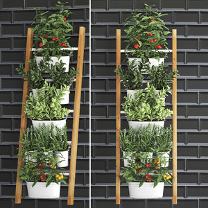 decorative plants kitchen railing 3D model