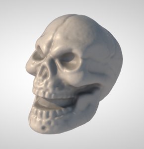 3D human skull