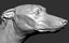 3D greyhound dog vfx zbrush model