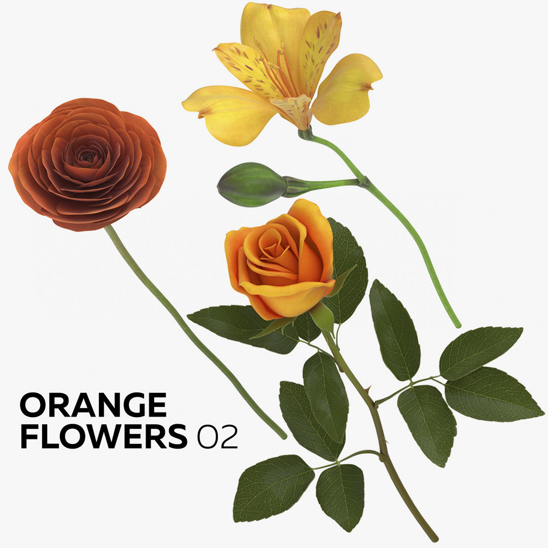 3D orange flowers 02 - TurboSquid 1450218
