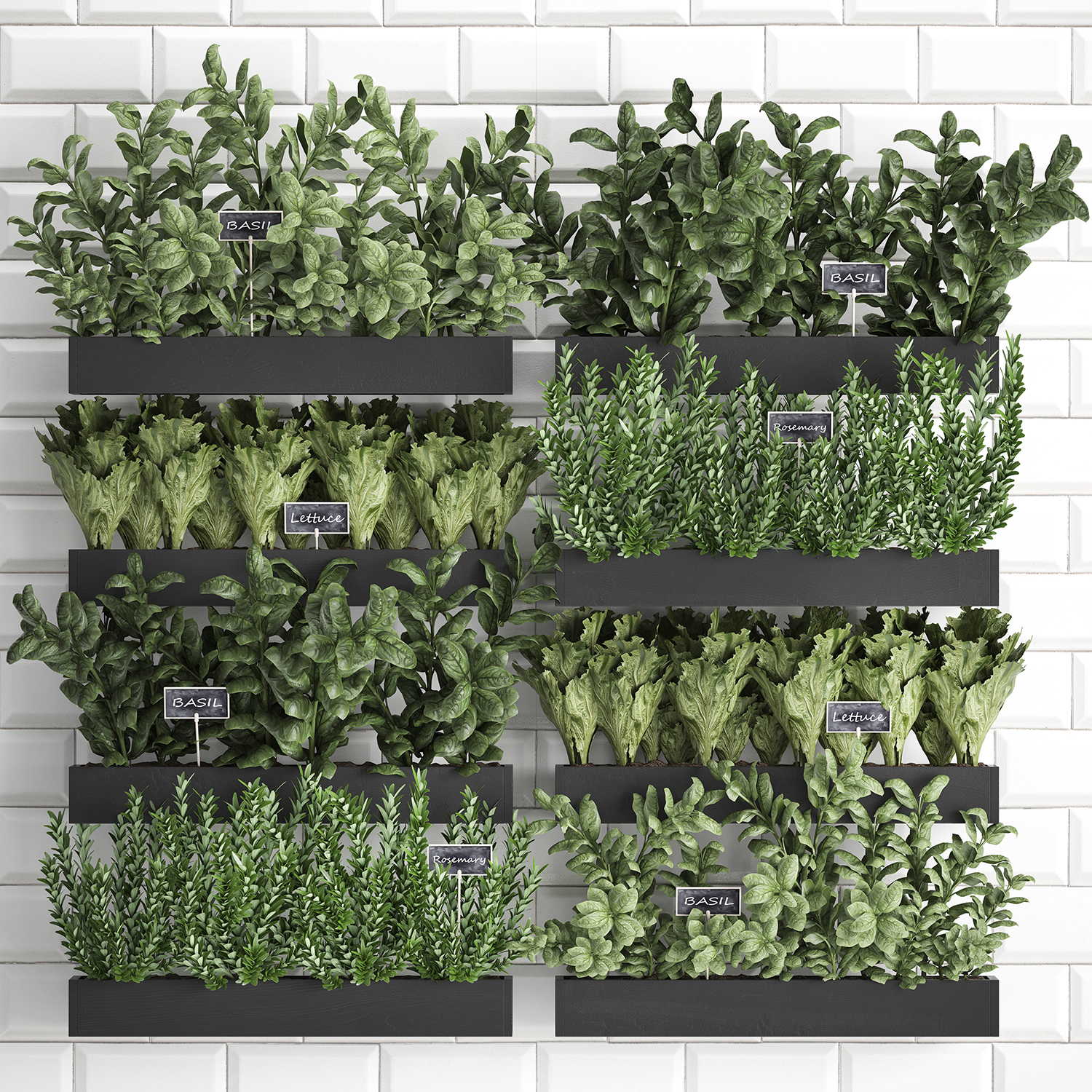 3d Decorative Plants Kitchen Turbosquid 1450231