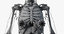 skin elder female skeleton 3D model