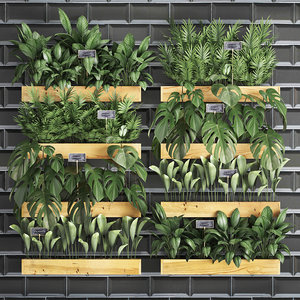 3D plants vertical garden decorative model