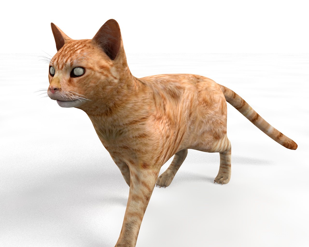 3D rigged cat model TurboSquid 1450594