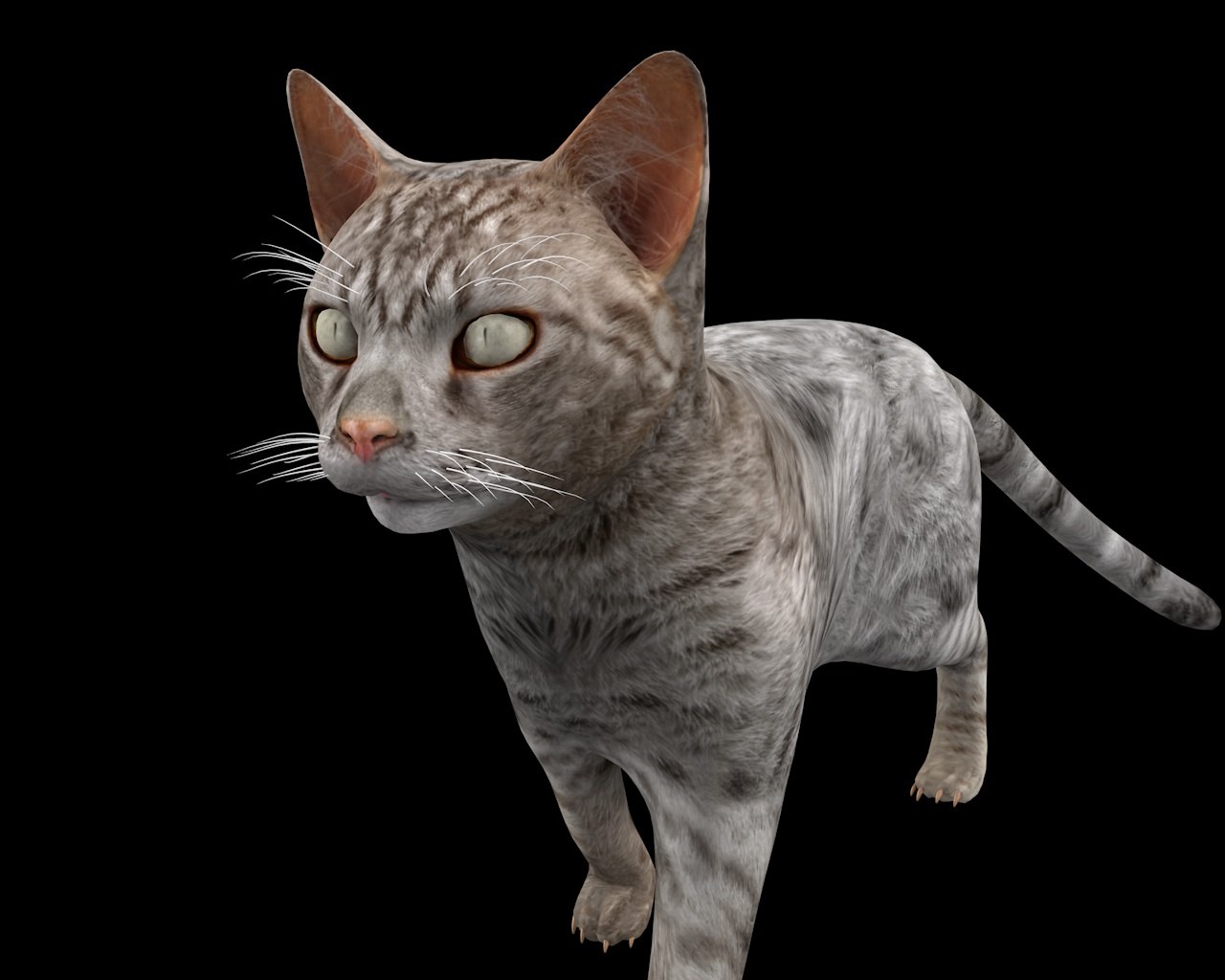 Rigged cat 3D model TurboSquid 1450607