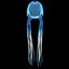3D box jellyfish cubozoa - model