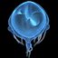 3D box jellyfish cubozoa - model